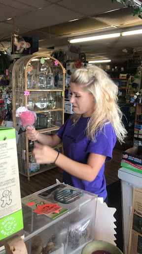 Pet Groomer «Animal Kingdom Grooming», reviews and photos, 339 S Santa Fe Ave, Pueblo, CO 81003, USA