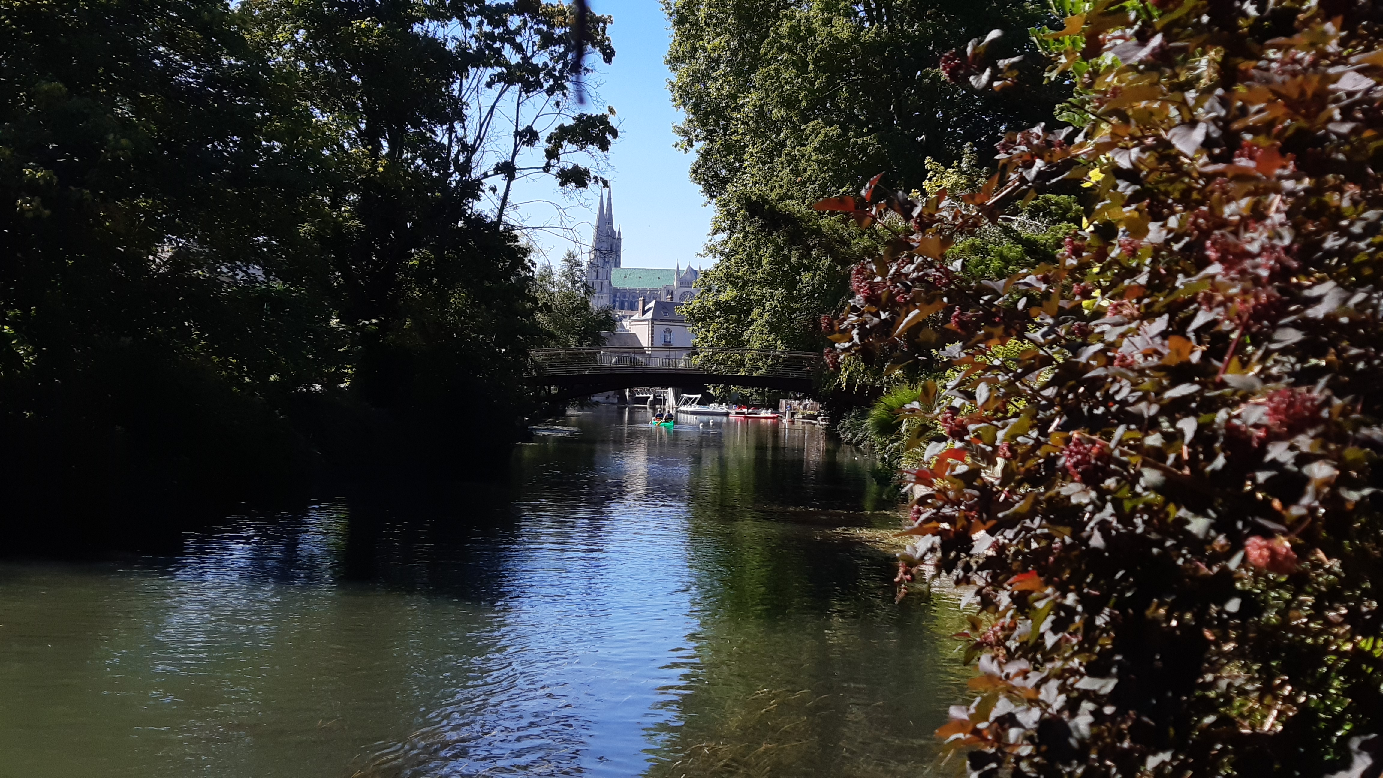 Photo n° 1 de l'avis de ROUPPERT.h fait le 14/08/2021 à 21:03