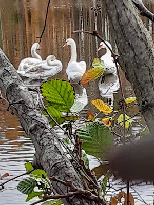 Branford Supply Pond Park - photo 39