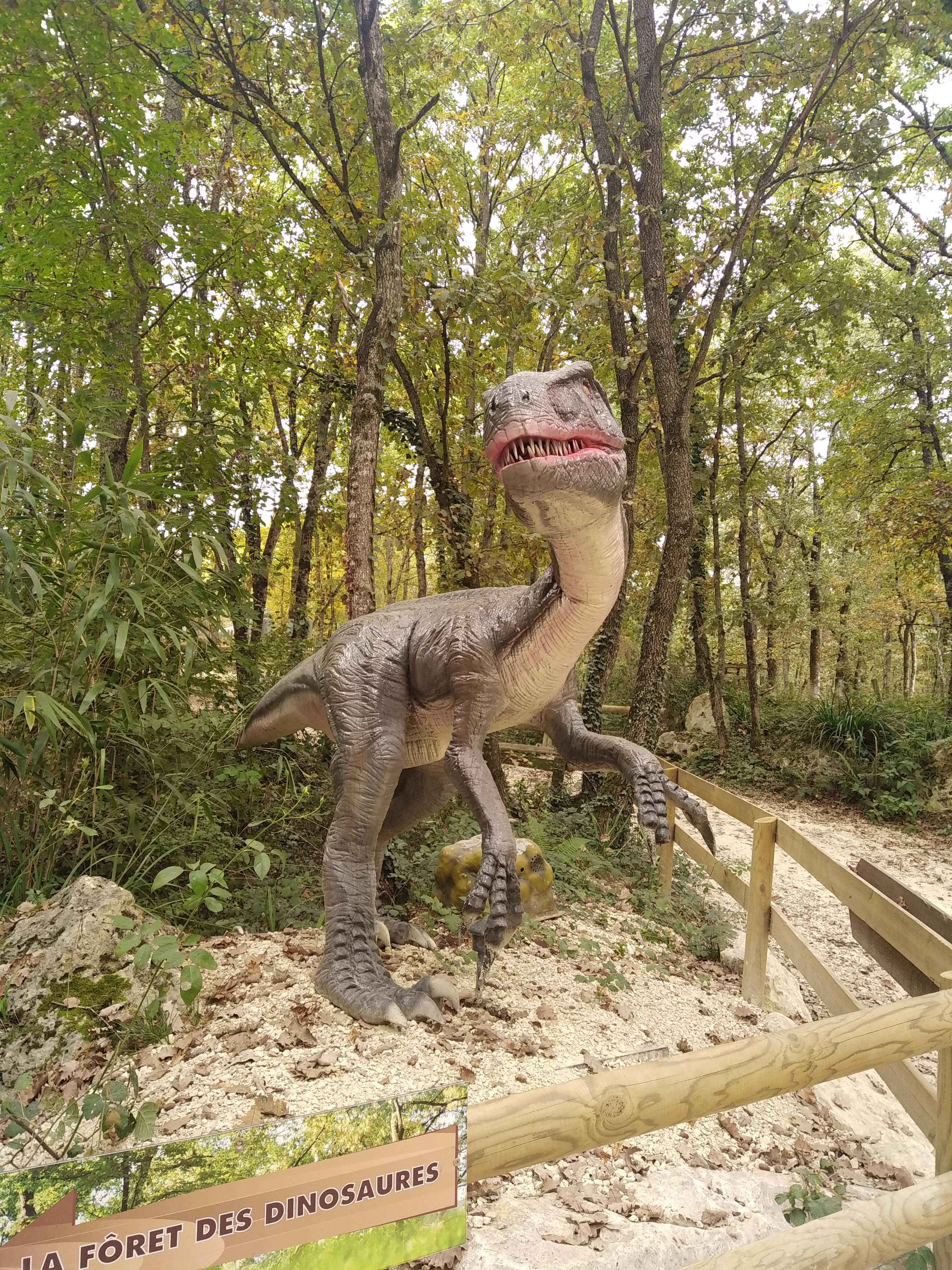 Photo n° 20 de l'avis de Mathieu.r fait le 30/10/2021 à 19:26