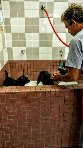 Pet Supply Store «Pet Food Express», reviews and photos, 9153 W Olympic Blvd, Beverly Hills, CA 90212, USA