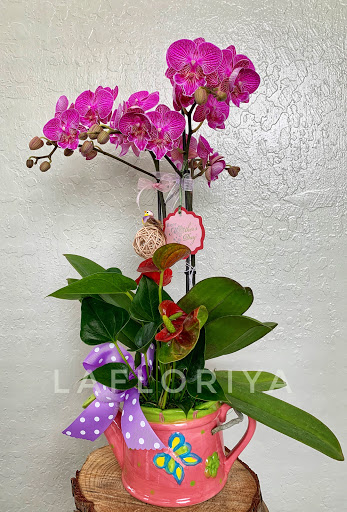 Florist «La Floriya», reviews and photos, 6170 Bollinger Rd, San Jose, CA 95130, USA
