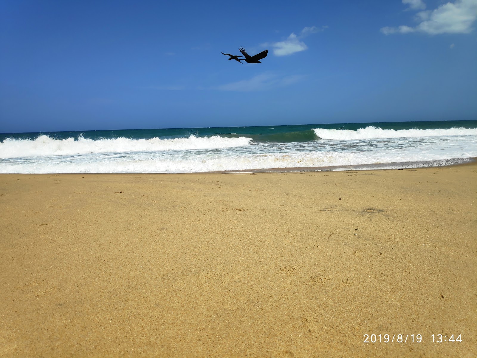 Palamunai Beach'in fotoğrafı vahşi alan