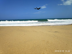Palamunai Beach'in fotoğrafı vahşi alan
