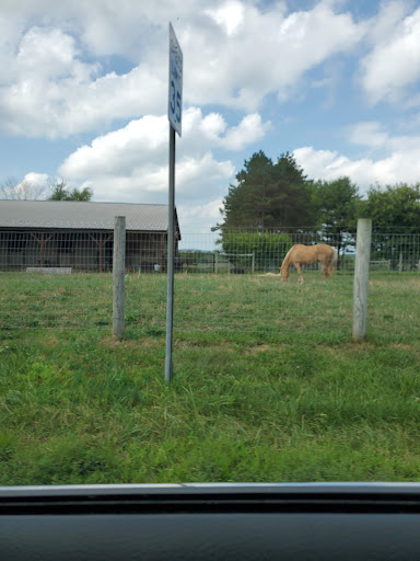 Winery «Beneduce Vineyards», reviews and photos, 1 Jeremiah Ln, Pittstown, NJ 08867, USA