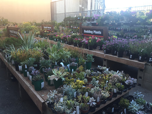 Hardware Store «DIY Home Center», reviews and photos, 2695 Cochran St, Simi Valley, CA 93065, USA