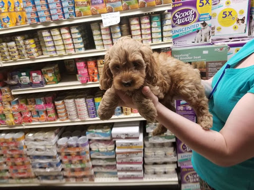 Pet Store «Liberty Agway Pet Center», reviews and photos, 11 Bon Jovi Ln, Liberty, NY 12754, USA