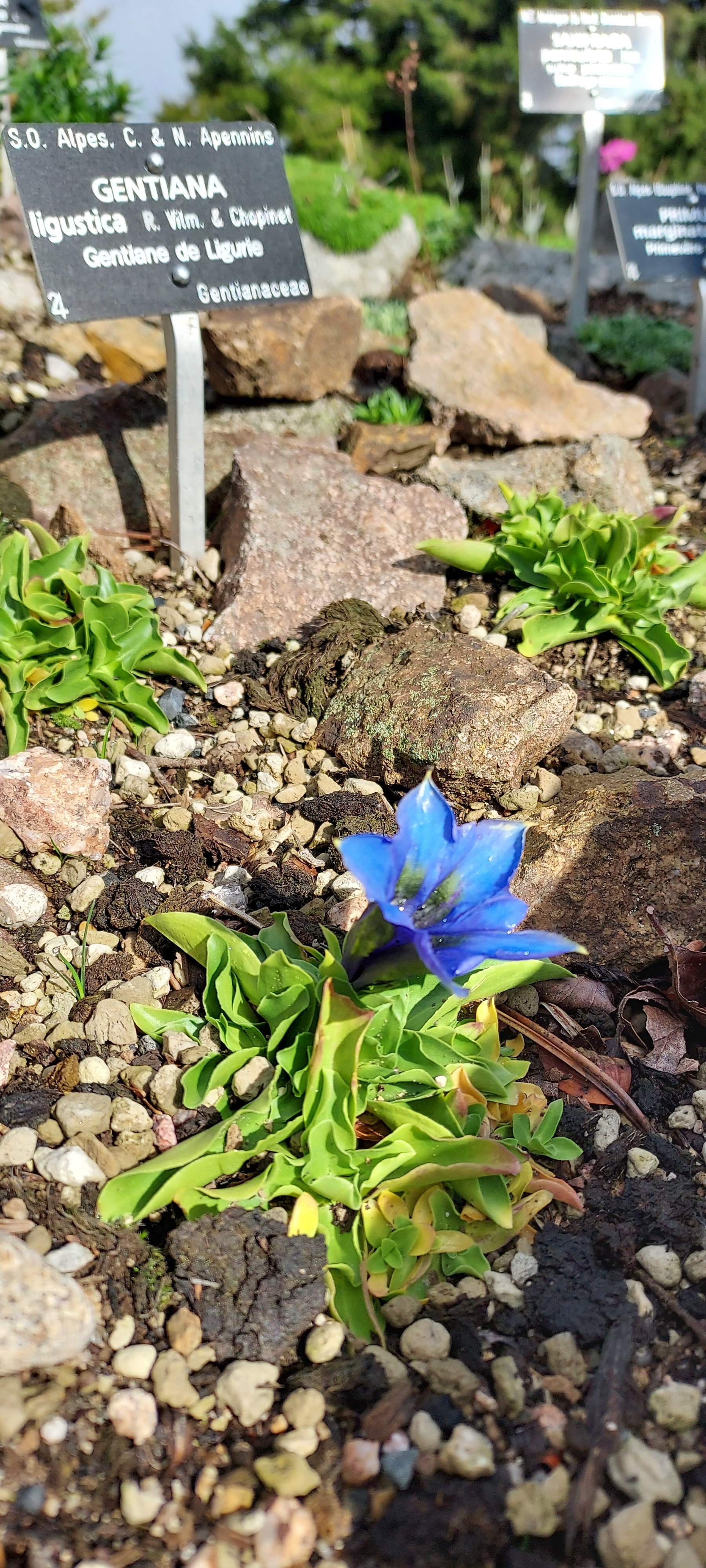 Photo n° 1 de l'avis de Didier.I fait le 15/09/2022 à 06:33