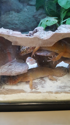 Pet Supply Store «Petco Animal Supplies», reviews and photos, 1401 E Spring Valley Rd, Richardson, TX 75081, USA