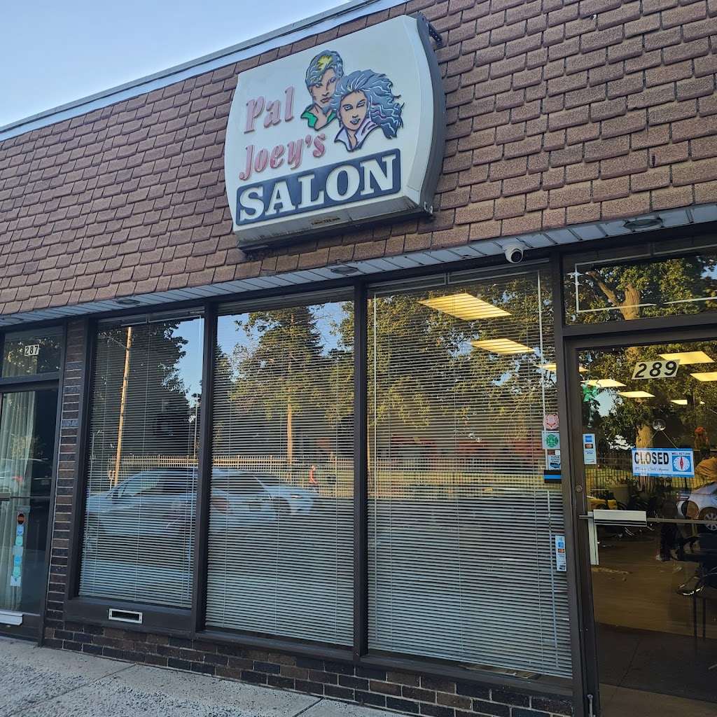 Pal Joey's Unisex Haircutters 07031