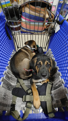 Pet Supply Store «PetSmart», reviews and photos, 1020 Veterans Pkwy #900, Clarksville, IN 47129, USA