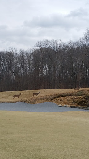 Golf Club «Golf Club of Tennessee», reviews and photos, 1000 Golf Club Dr, Kingston Springs, TN 37082, USA