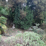 Photo n°6 de l'avis de Paolo.i fait le 27/07/2021 à 13:03 sur le  Agriturismo Il Paradiso à Seravezza