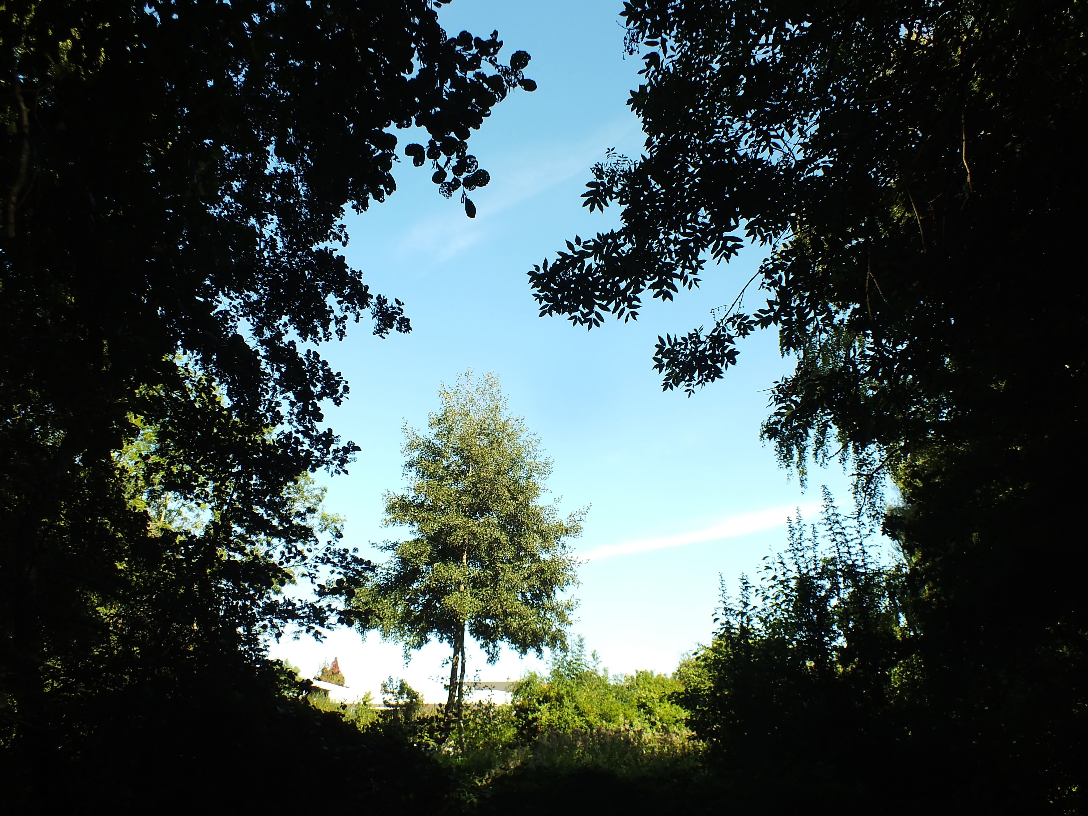 Photo n° 5 de l'avis de Andre.e fait le 05/10/2019 à 11:16