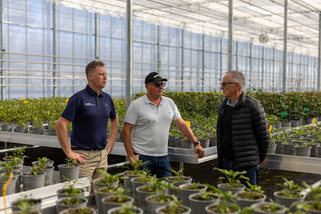 Apex Greenhouses - Construction company