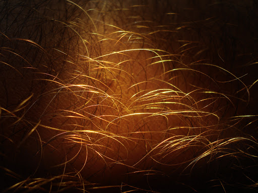 Explore tattoo ideas to fill space, creative tattoo ideas in Clifton Park, available at Capital Skin Medical Spa