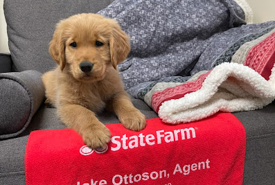 Jake Ottoson – State Farm Insurance Agent