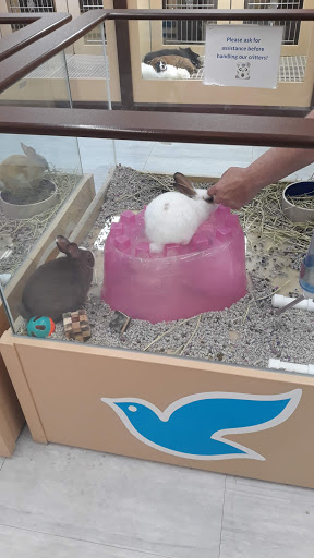 Pet Store «Petland», reviews and photos, 10289 Ulmerton Rd, Largo, FL 33771, USA