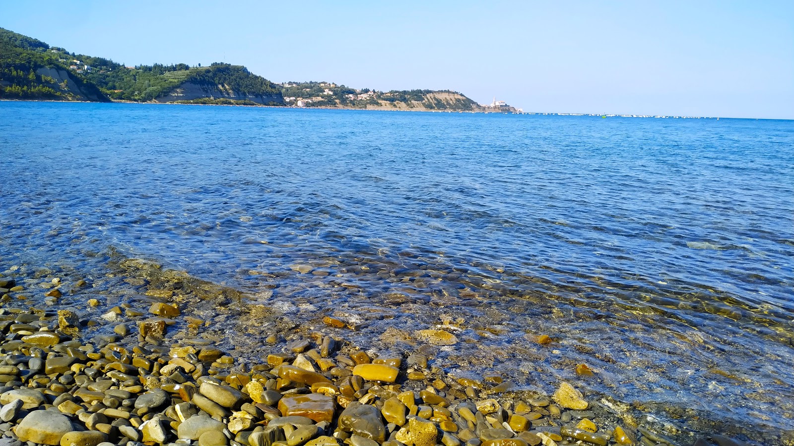 Zdjęcie Strunjan beach z powierzchnią turkusowa czysta woda