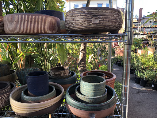 Dry Garden Nursery