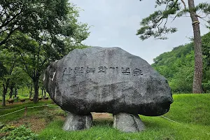 Daegaya Arboretum image