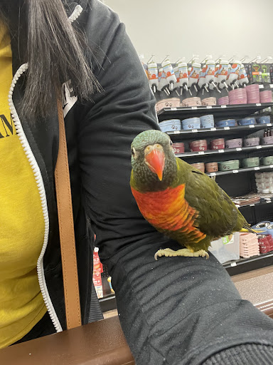 Dog Breeder «Petland Dunwoody», reviews and photos, 4733 Ashford Dunwoody Rd NE, Dunwoody, GA 30338, USA