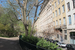 Ecole Lyonnaise Plantes Médicinales