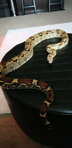 Pet Store «Miles of Exotics», reviews and photos, 8350 N Broadway, Kansas City, MO 64118, USA