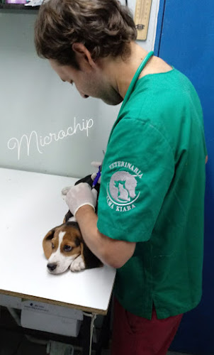 Opiniones de Clinica Veterinaria Almakiara en Monte Patria - Veterinario