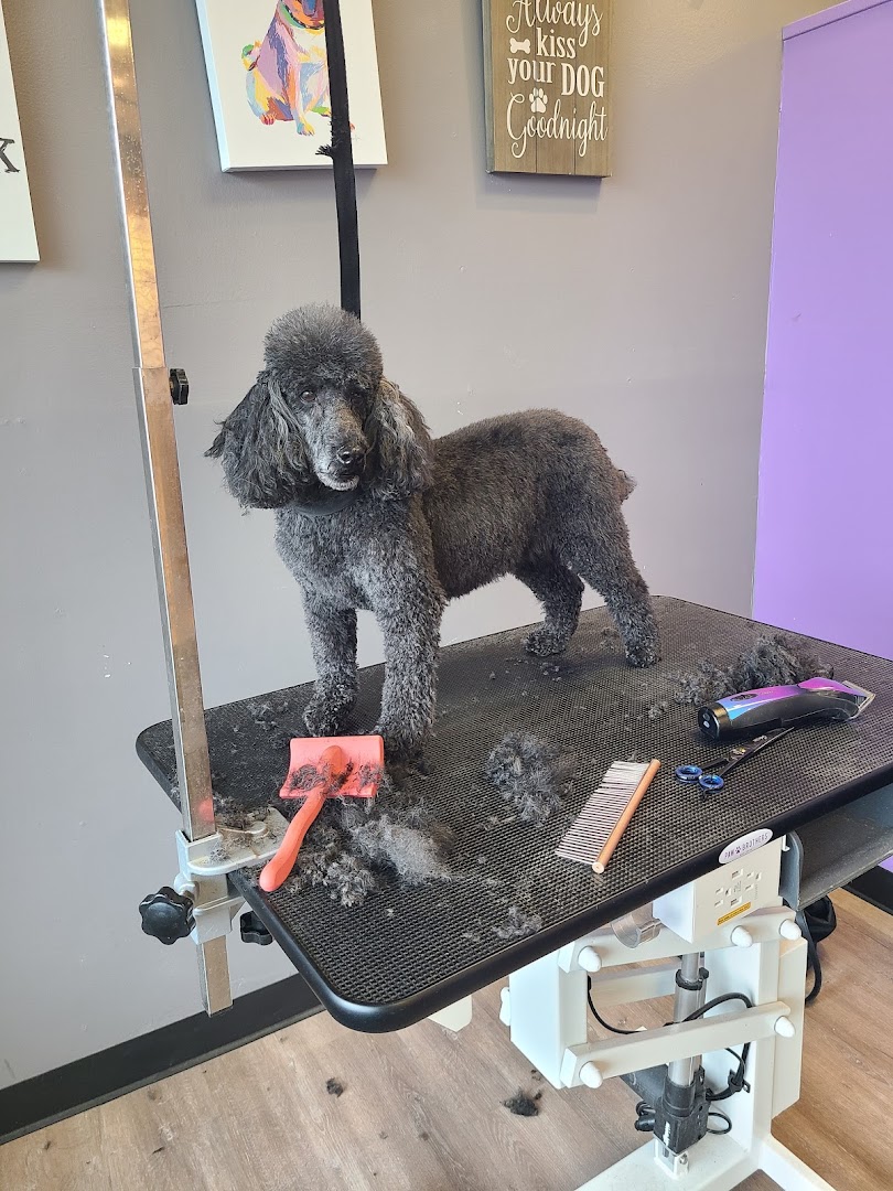 Pawsitively Pampered Grooming & Daycare