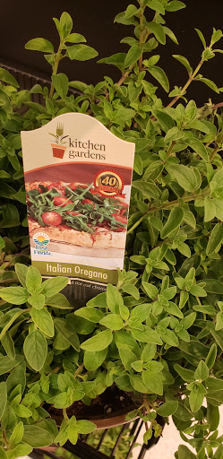 Supermarket «Publix Super Market at Daniels Crossing», reviews and photos, 6900 Daniels Pkwy Ste 19, Fort Myers, FL 33912, USA