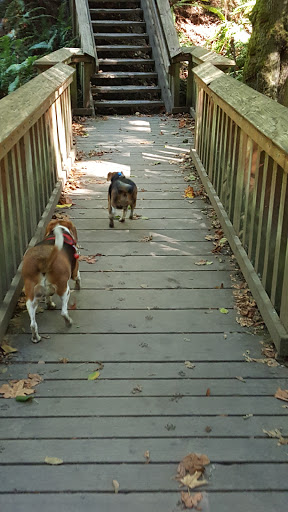 State Park «Dash Point State Park», reviews and photos, 5700 SW Dash Point Rd, Federal Way, WA 98023, USA