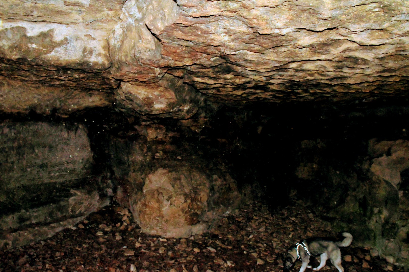 Photo n° 17 de l'avis de Phidis.a fait le 21/03/2024 à 20:19