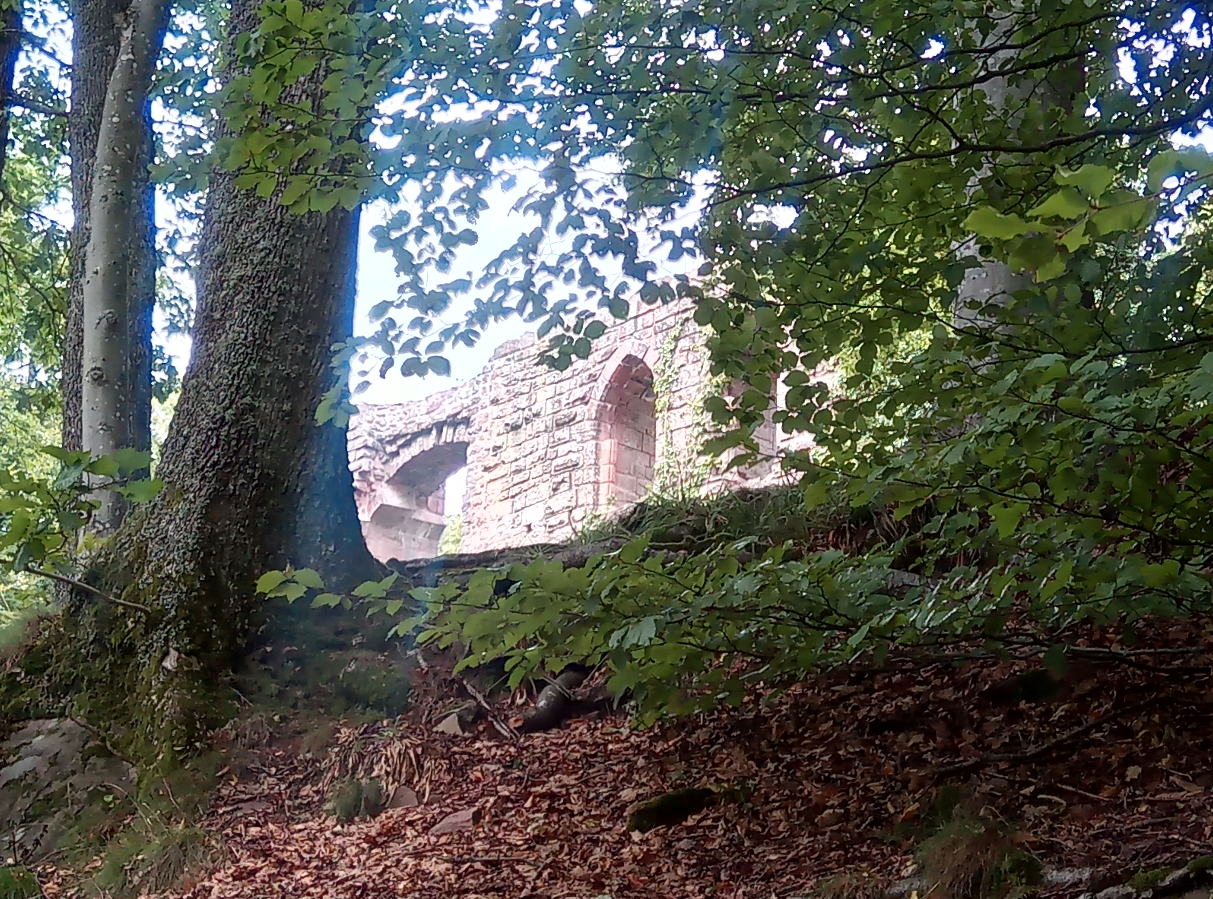 Photo n° 1 de l'avis de Transduo.r fait le 15/08/2018 à 12:01