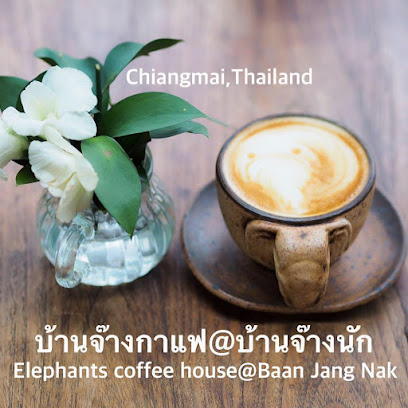 Baan Jang Nak - A Museum of Elephant Wood Carvings
