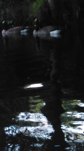 Golf Club «Thendara Golf Club», reviews and photos, 151 Fifth Street, Thendara, NY 13472, USA