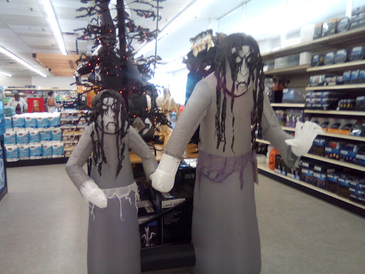 Discount Store «Big Lots», reviews and photos, 2412 S Volusia Ave, Orange City, FL 32763, USA