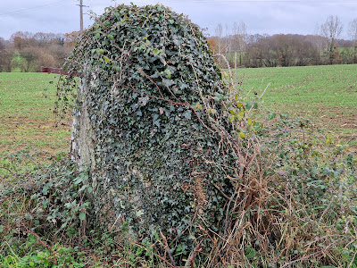 Menhir du Grand Coudray à Chantrigné