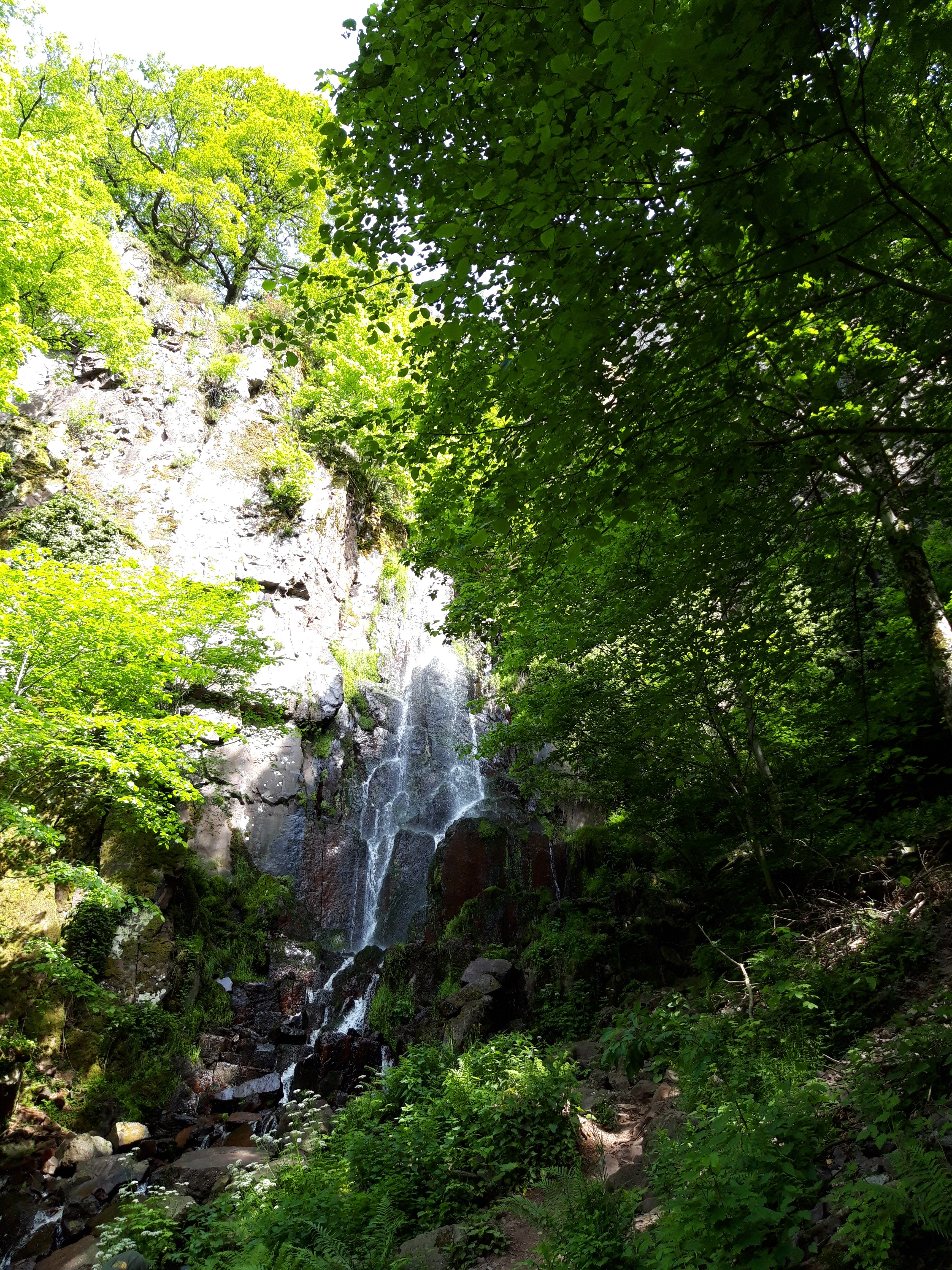 Photo n° 1 de l'avis de Michel.r fait le 09/06/2019 à 07:08