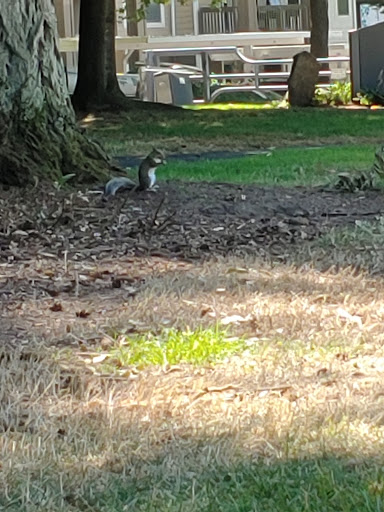 Park «EVERGREEN PARK», reviews and photos, 2615 NW 194th Terrace, Hillsboro, OR 97124, USA