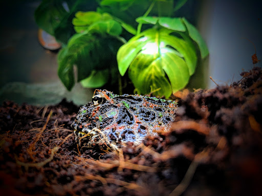 Pet Supply Store «Petco Animal Supplies», reviews and photos, 45205 Worth Ave, California, MD 20619, USA