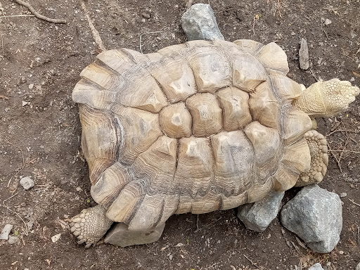 Zoo «Utica Zoo», reviews and photos, 1 Utica Zoo Way, Utica, NY 13501, USA