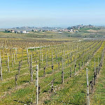 Photo n°4 de l'avis de Alberto.z fait le 05/04/2022 à 19:00 sur le  Antica trattoria Del Tempio à Ziano Piacentino