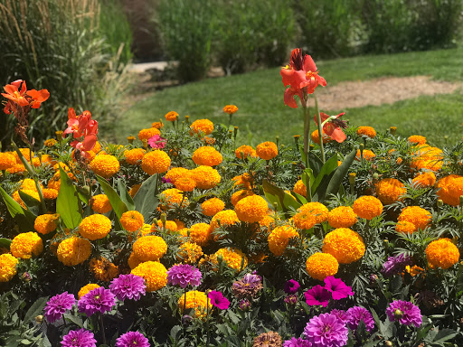 Public Swimming Pool «Bay Aquatic Ctr», reviews and photos, 250 Spader Way, Broomfield, CO 80020, USA