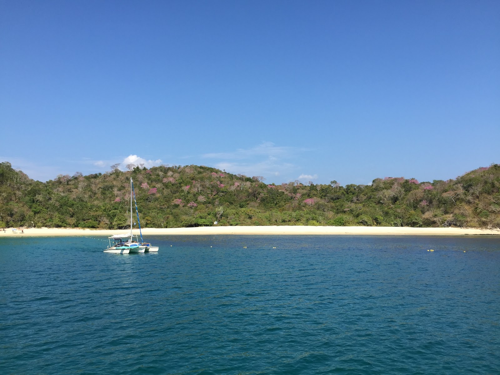 Foto de Riscalillo beach área de servicios