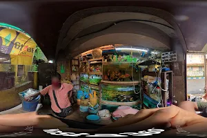 Aquarium Fish Shop image