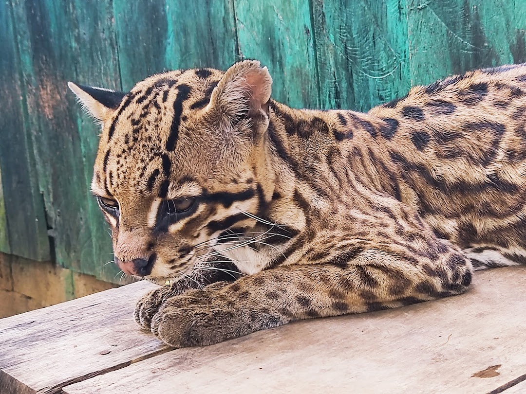 Puerto Maldonado, Peru