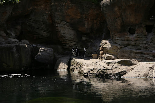 Aquarium «New York Aquarium», reviews and photos, 602 Surf Ave, Brooklyn, NY 11224, USA