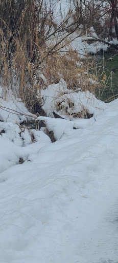 Park «Valley View Park», reviews and photos, 5575 Ozark Avenue North, Oak Park Heights, MN 55082, USA