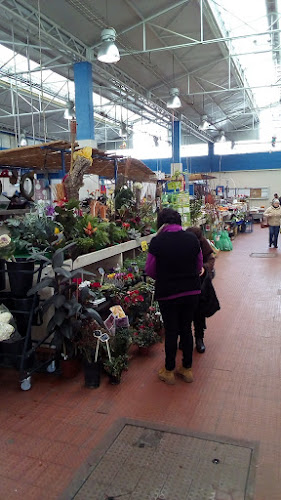 Mercado Municipal do Monte de Caparica - Almada